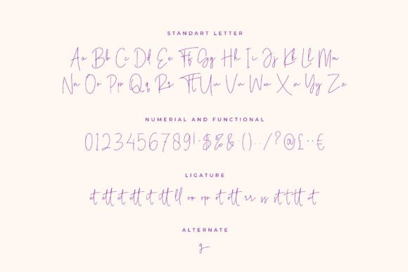 Viollet Signatture Font Poster 10