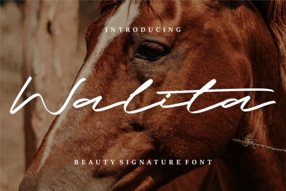 Walita Font Poster 1