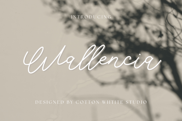 Wallencia Font