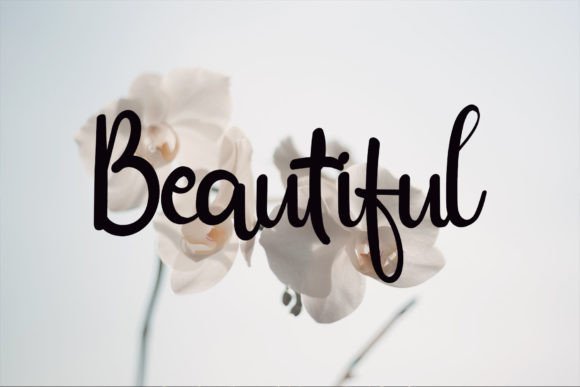 Wedding Font Poster 4