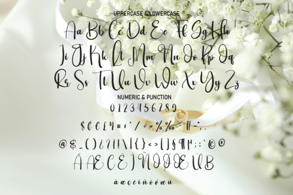 Wedding Font Poster 7