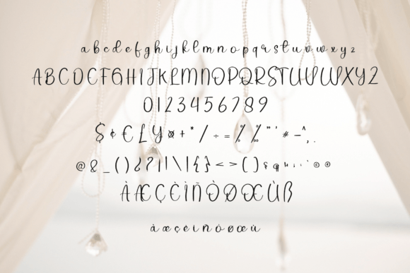 Wedding Signature Font Poster 6