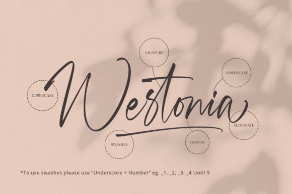 Westonia Font Poster 16