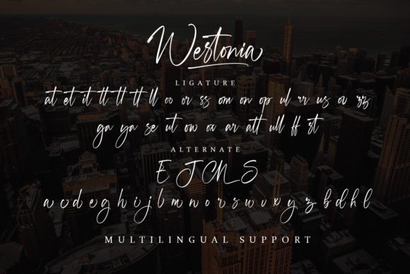 Westonia Font Poster 18