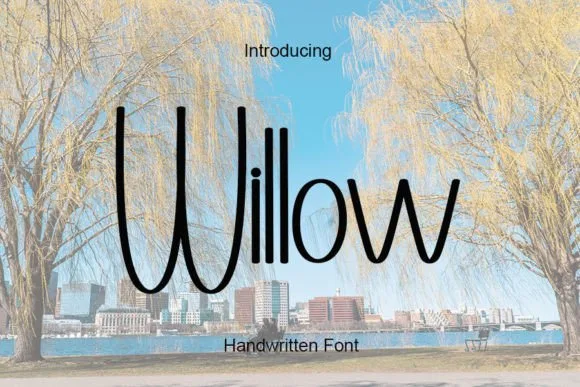 Willow Font Willow Font Poster 1