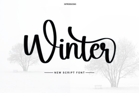 Winter Font