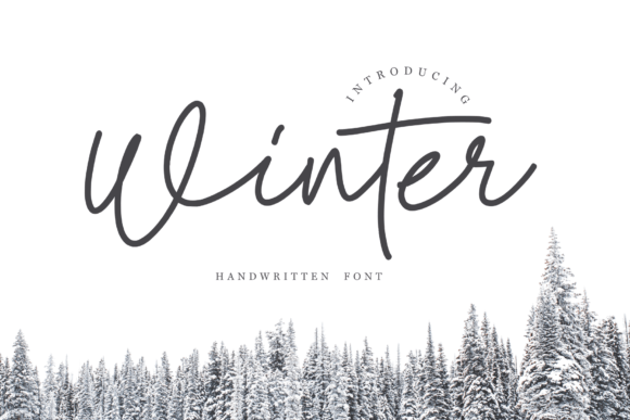 Winter Font Poster 1