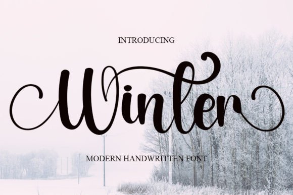 Winter Font Poster 1