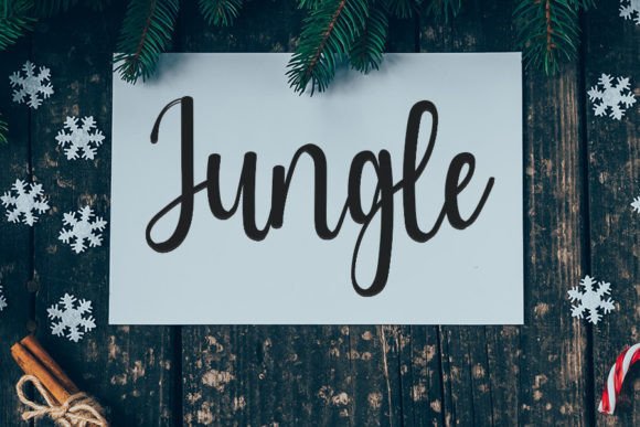 Winter Font Poster 4