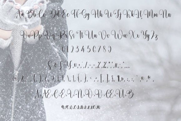 Winter Font Poster 5