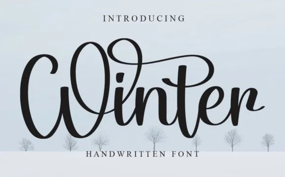 Winter Font Winter Font Poster 1