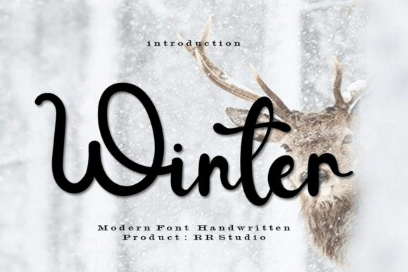 Winter Font Poster 1