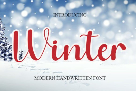 Winter Font Poster 1