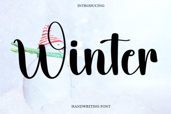 Winter Font Poster 1