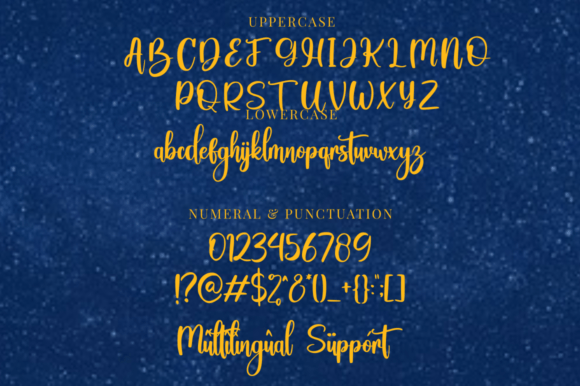 Winter Delighters Font Poster 8