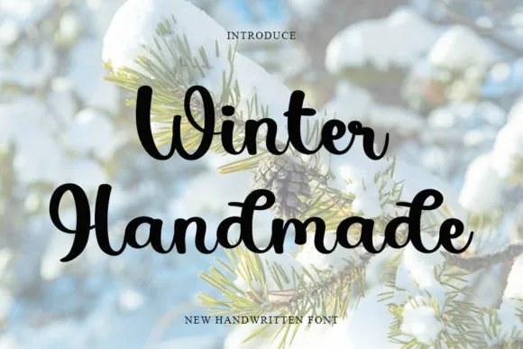 Winter Handmade Font Poster 1