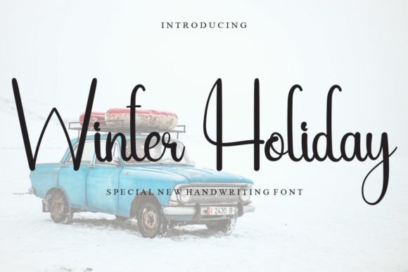 Winter Holiday Font Poster 1