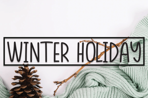 Winter Holiday Font Poster 1
