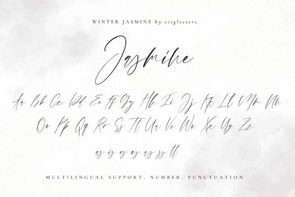 Winter Jasmine Font Poster 10
