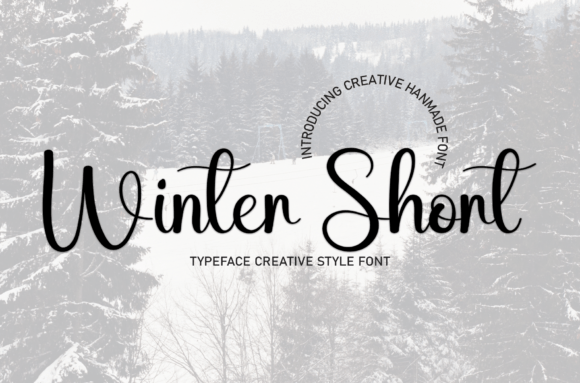 Winter Short Font Poster 1