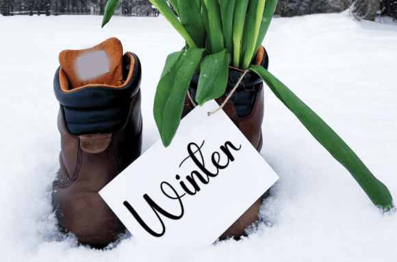 Winter Short Font Poster 3