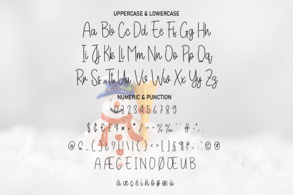 Winter Signature Font Poster 2