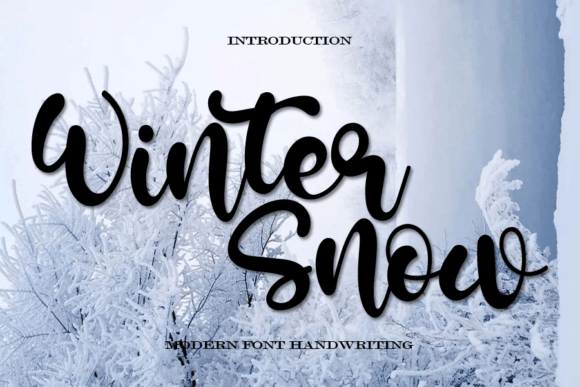 Winter Snow Font