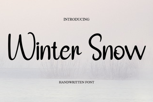 Winter Snow Font Poster 1