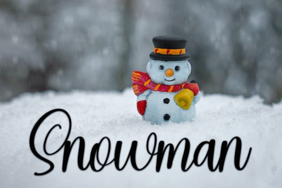 Winterlive Font Poster 2