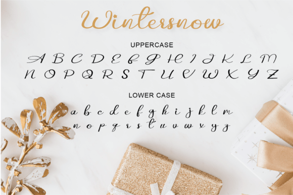 Wintersnow Font Poster 5