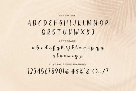 Wishcash Font Poster 7