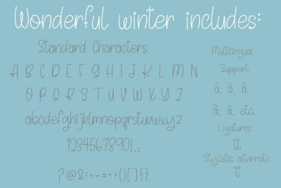 Wonderful Winter Font Poster 4