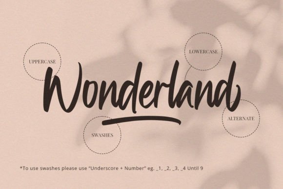Wonderland Font Poster 11