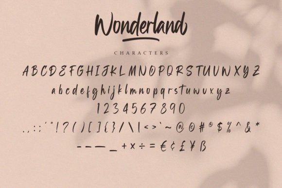 Wonderland Font Poster 12
