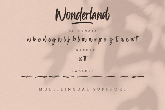 Wonderland Font Poster 13