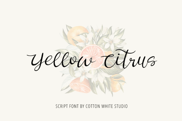 Yellow Citrus Font Poster 1