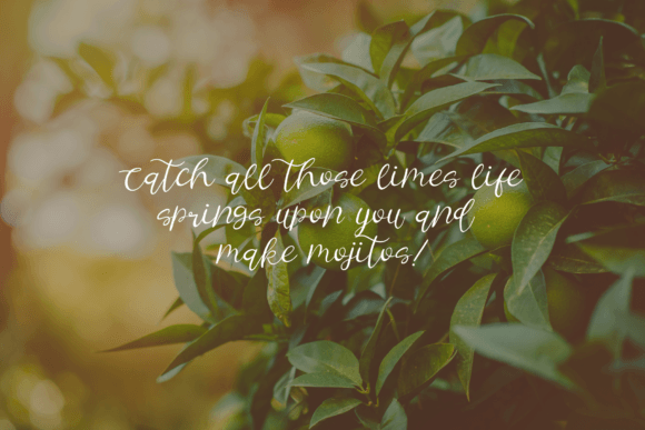 Yellow Citrus Font Poster 8