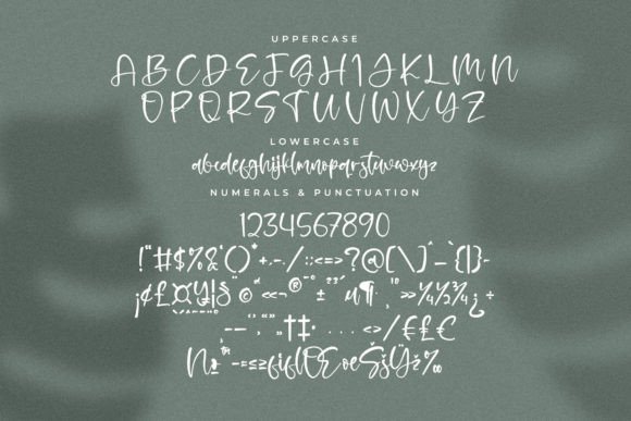 Zamboora Font Poster 13