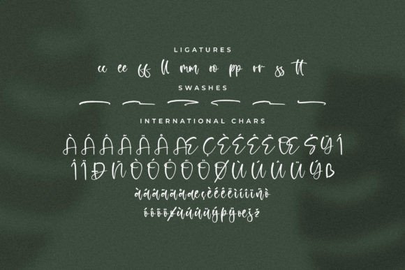 Zamboora Font Poster 14
