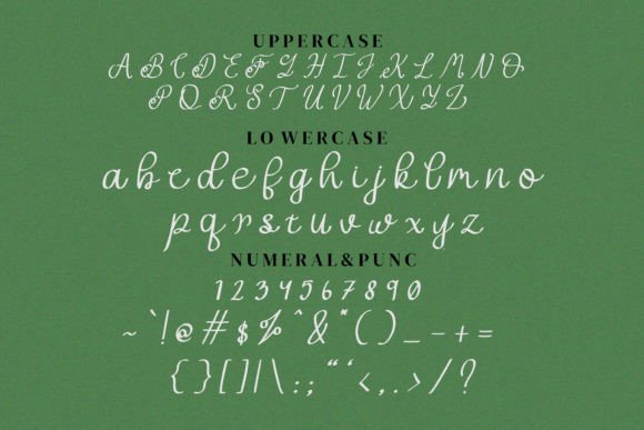 Zorrity Font Poster 12