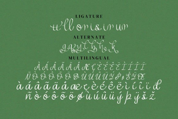 Zorrity Font Poster 13