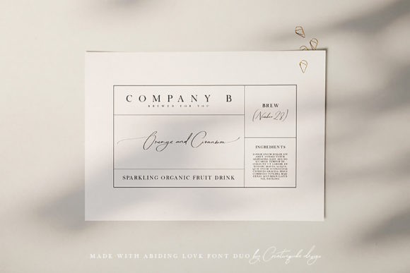 Abiding Love Font Poster 2