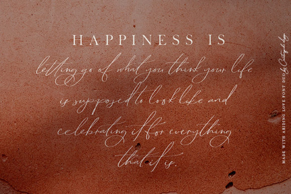 Abiding Love Font Poster 14