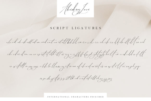 Abiding Love Font Poster 18
