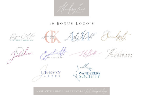Abiding Love Font Poster 20