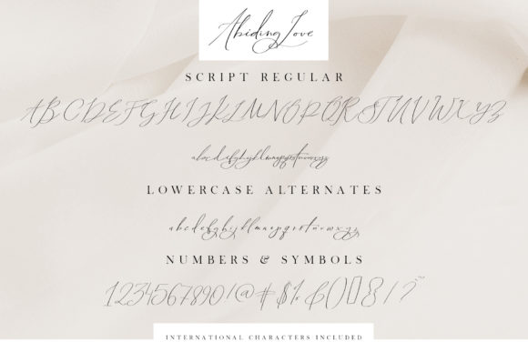 Abiding Love Font Poster 3
