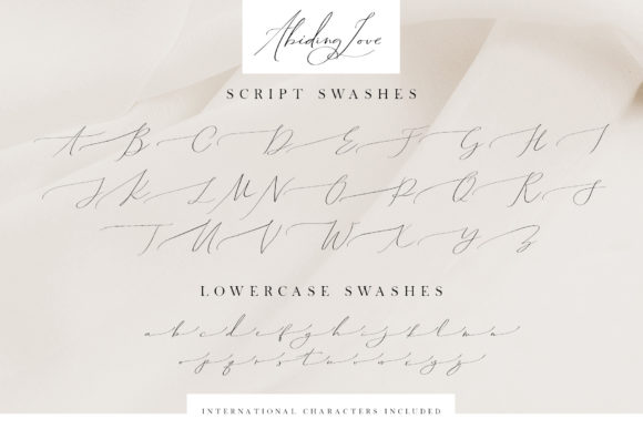 Abiding Love Font Poster 4