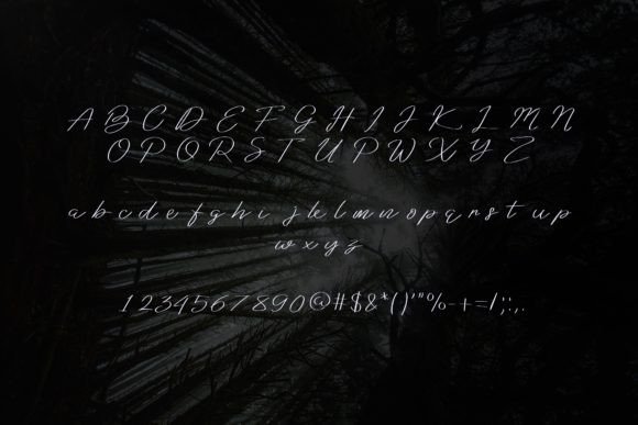 Abiseca Font Poster 7