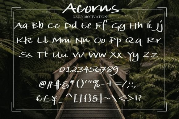Acorns Font Poster 2