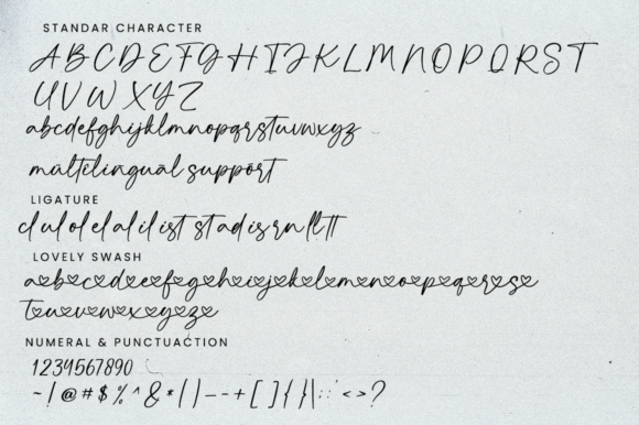 Adorn Stylish Font Poster 11